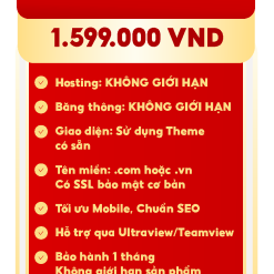Thiết kế website chuẩn SEO giá rẻ có những gì?