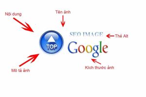 Những yếu tố nên có của hình ảnh chuẩn SEO